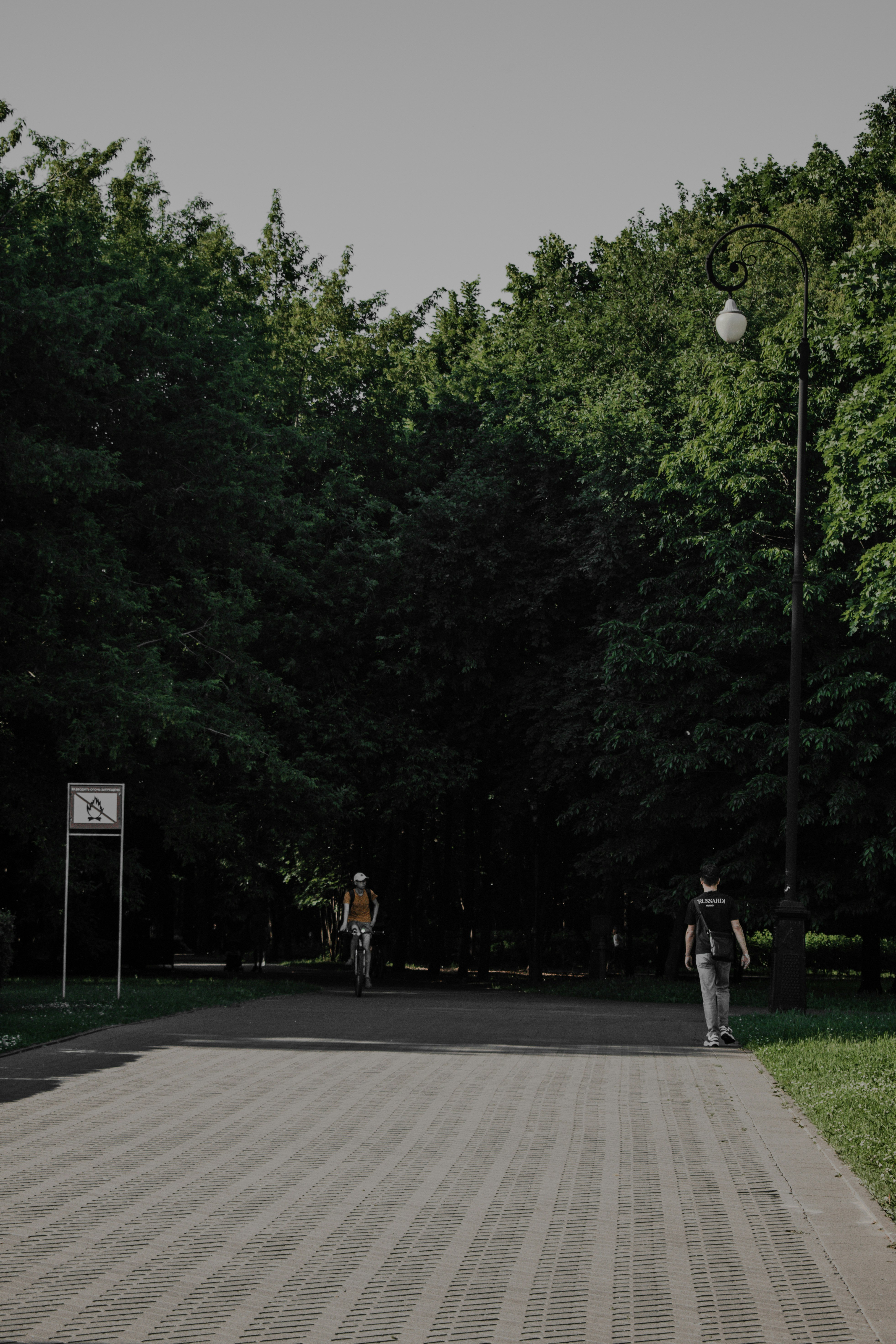 people walking on sidewalk near green trees during daytime